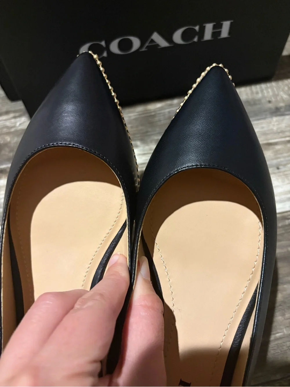 Coach Vae Skimmer Slingback Flat Sandals with Pointed Toe